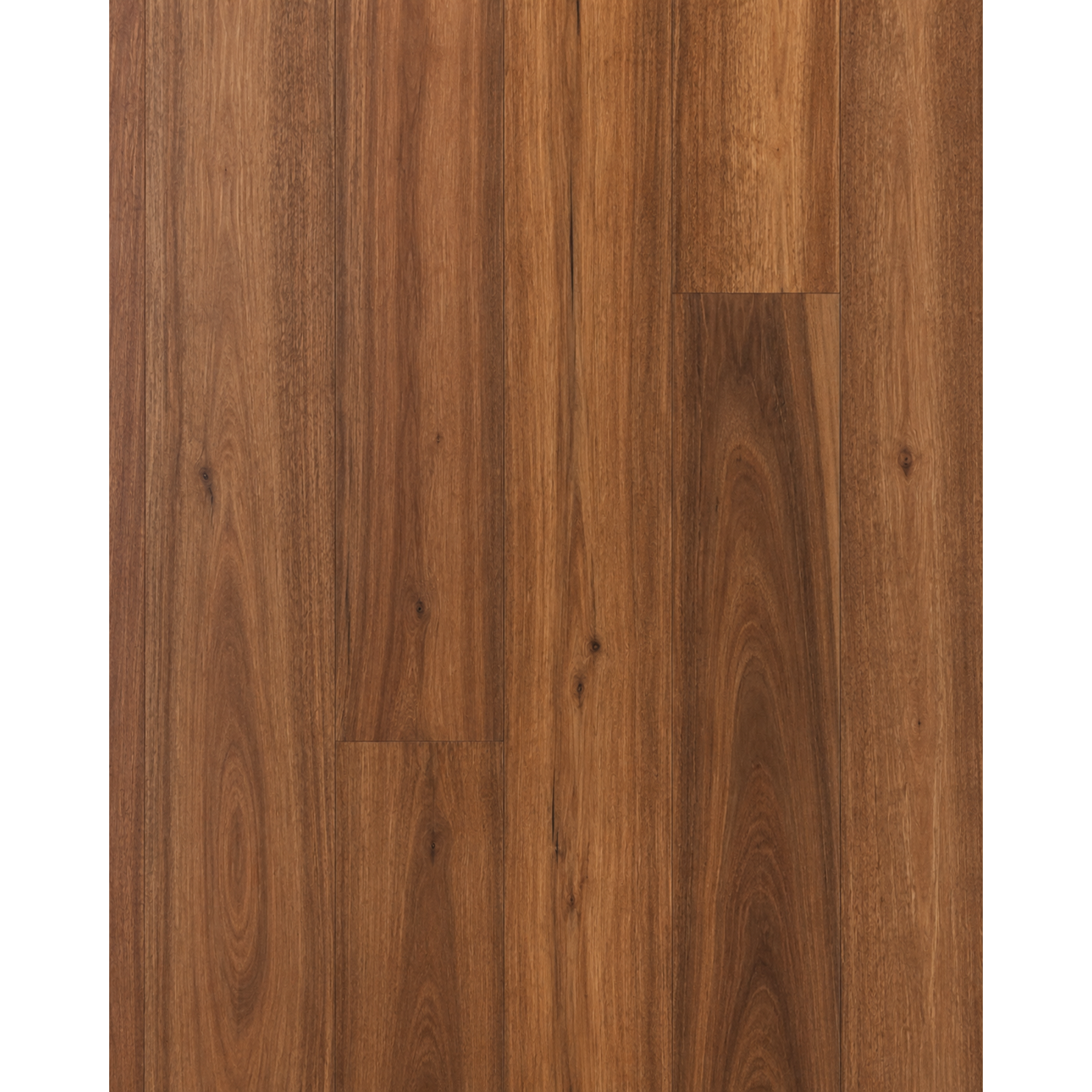 Spotted Gum 135 Standard