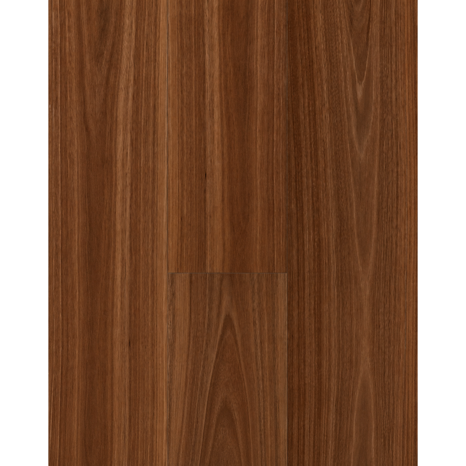 Spotted Gum 180 Standard + Better