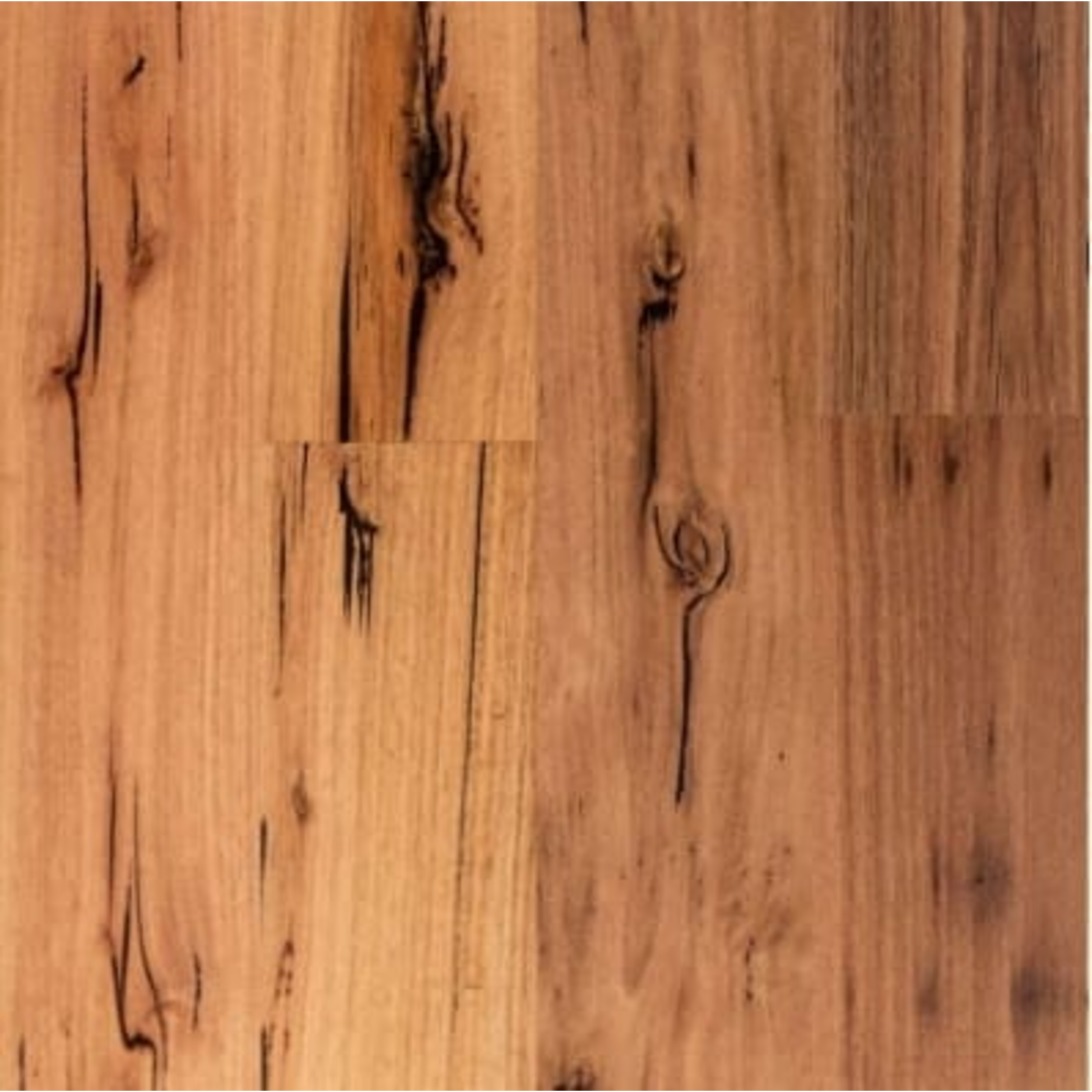 Blackbutt 130 Character