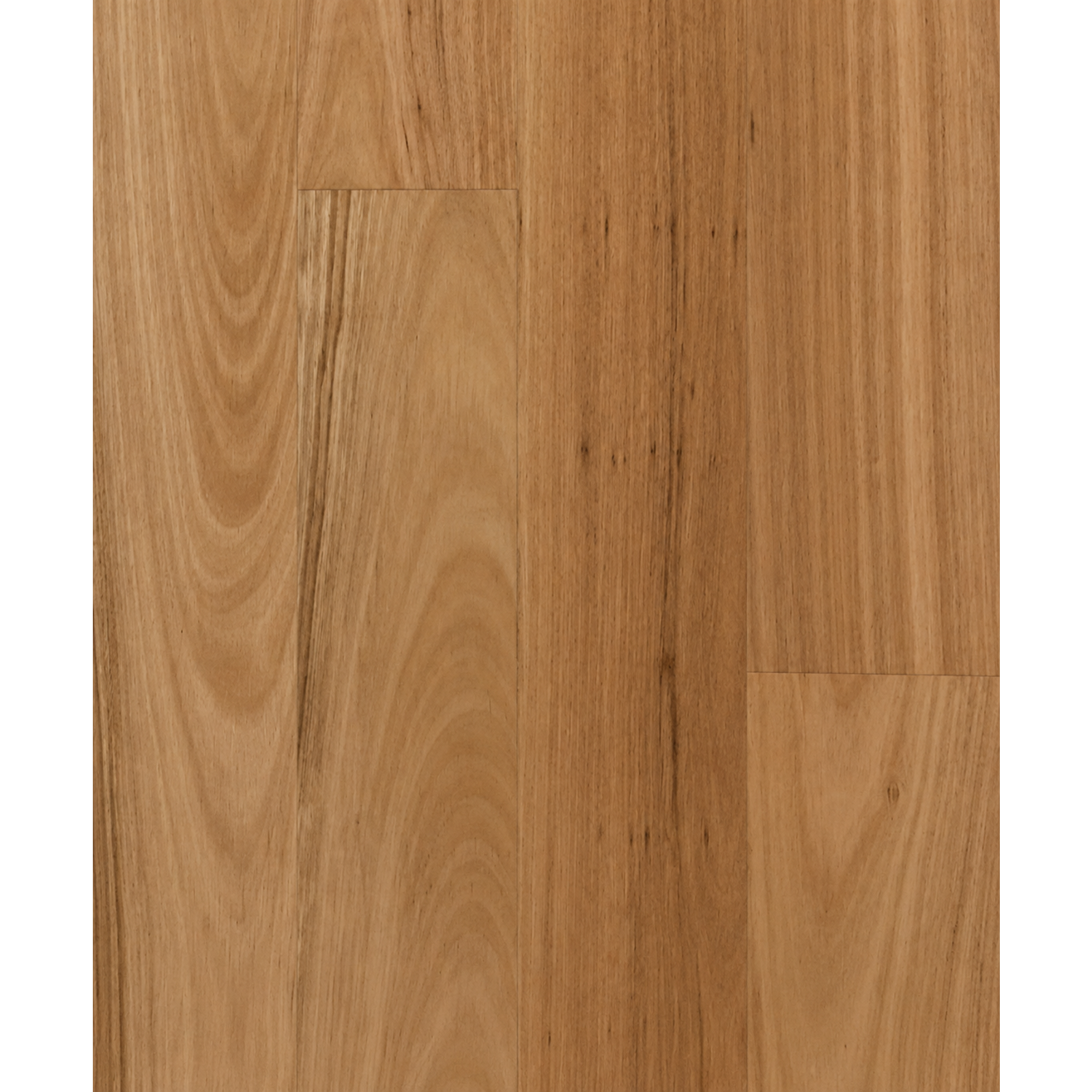 Blackbutt 136 Standard + Better